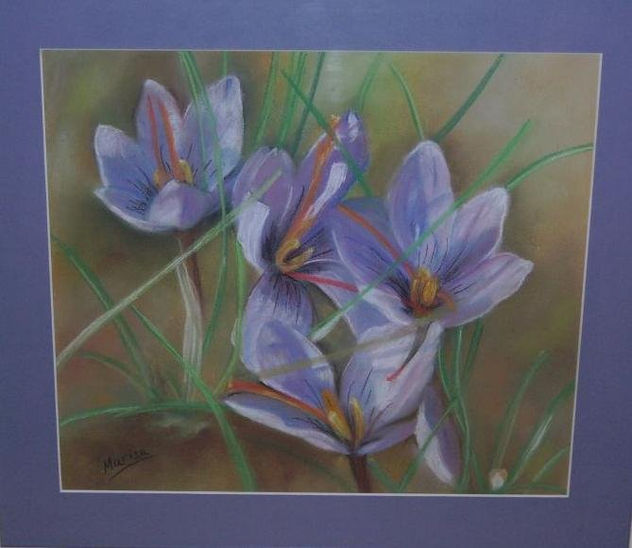 FLOR DEL AZAFRAN