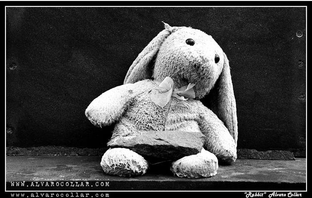 Rabbit Bodegones Blanco y Negro (Química)