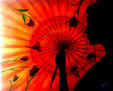 SOMBRILLA  (PHOTOGRAFIC PAPER HQ)