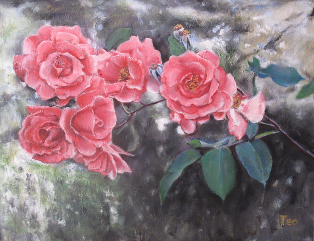 ROSAS DE MAYO.