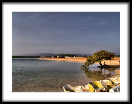 Punta brava XIV