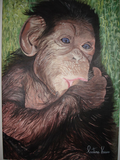 Chimpance bebe...