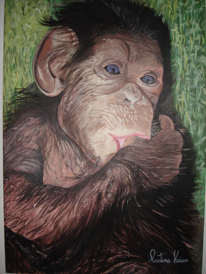 Chimpance bebe chupando el dedo Acrylic Textile Animals