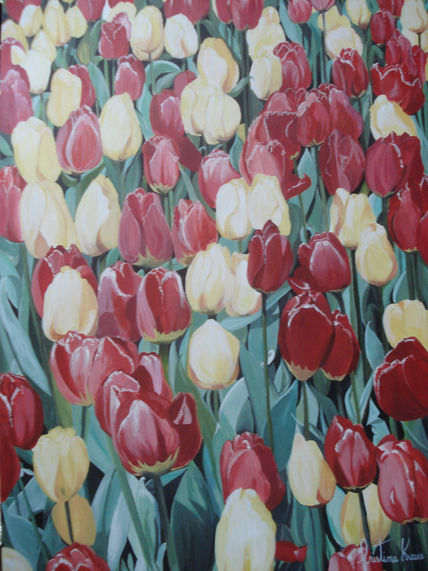 Los tulipanes