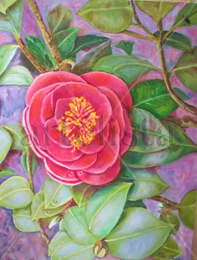 Camelia