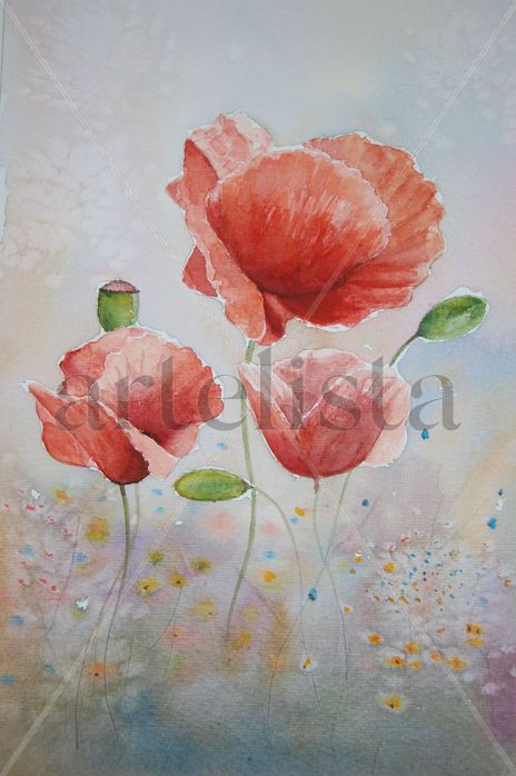 Amapolas