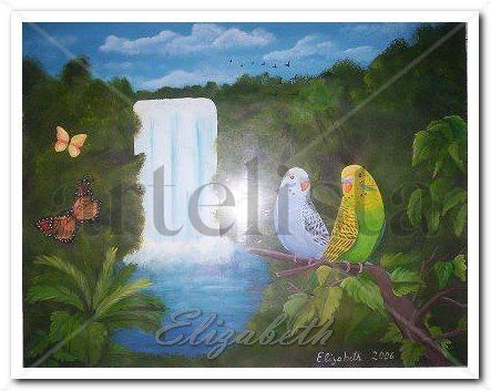 Selva