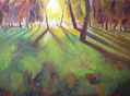 amaneciendo en el bosque