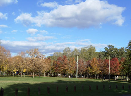 Otoño