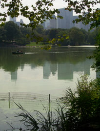 central park II