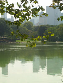 Central Park Green