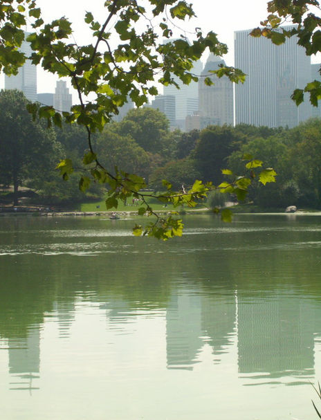 Central Park Green