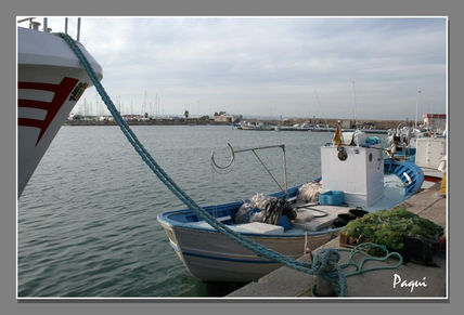 El puerto