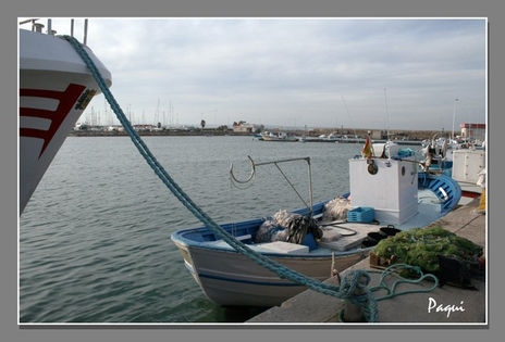 El puerto