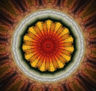 Mandala 1