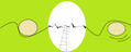 Egg..