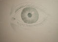 Ojo