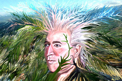 Natura 01