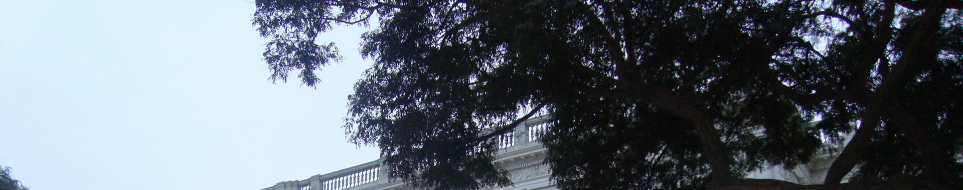 Imagen de portada