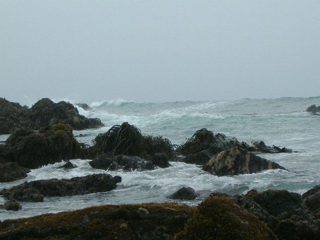 LAS ROCAS DESPLIEGAN SUS BRAZOS AL RECIBIR EL MAR Y LO SALUDAN Naturaleza Blanco y Negro (Digital)