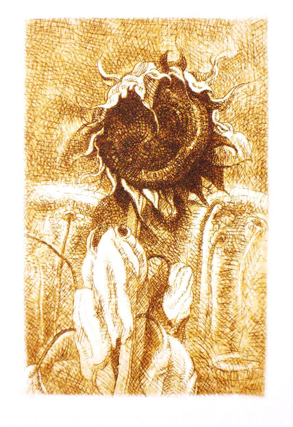 Retrato de girasol