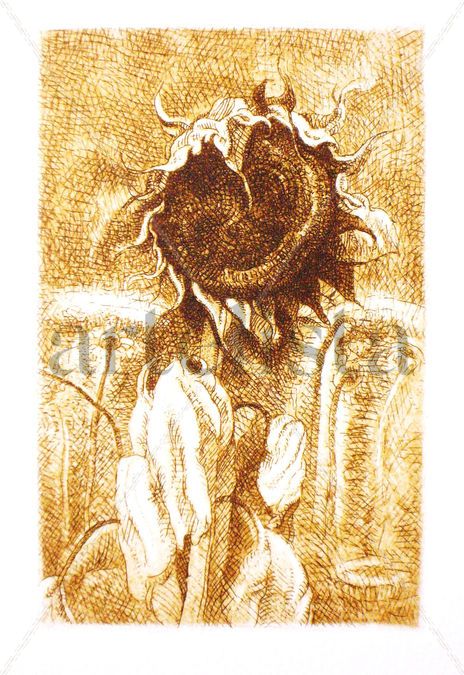 Retrato de girasol