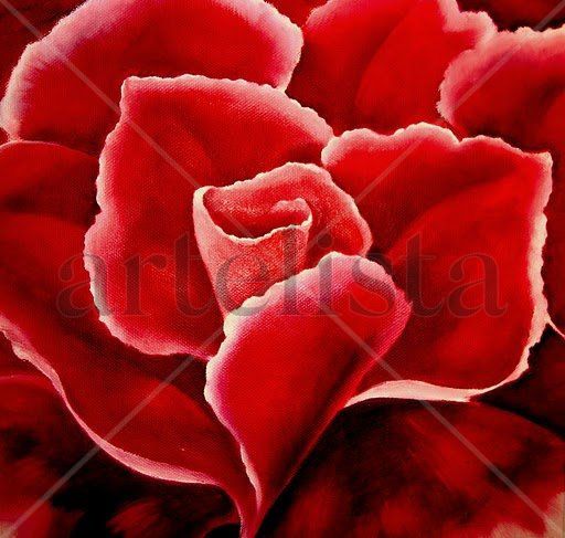 Abertura Oil Canvas Floral Painting