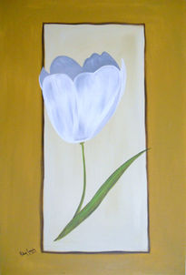 Tulipan blanco