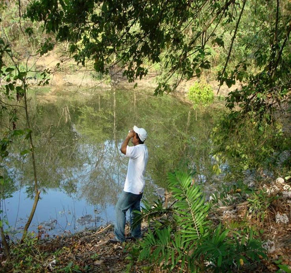 LAGO PARQUE MEGUA 