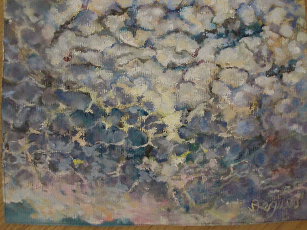cielo emborregado 