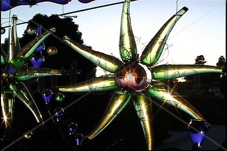 Bottle star