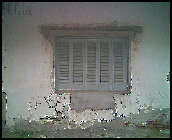 Ventana Architecture and Interiorism Color (Digital)