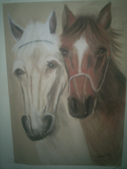 Caballos Pencil (coloured) Canvas Animals