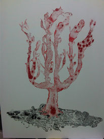 Gorgonia