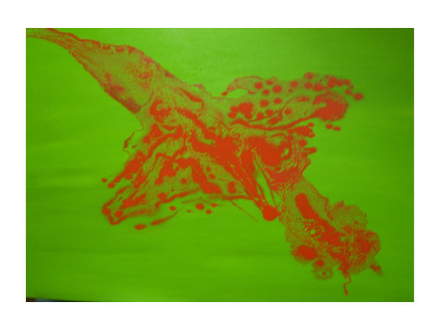 Colibri Oil Canvas Landscaping
