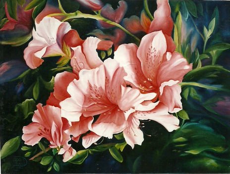 Bifloras