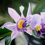 Floral thumbnail 1