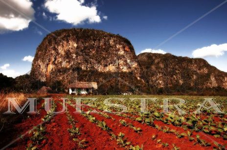 Viñales