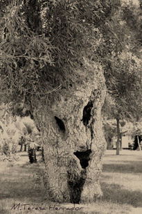 Naturaleza fantasma