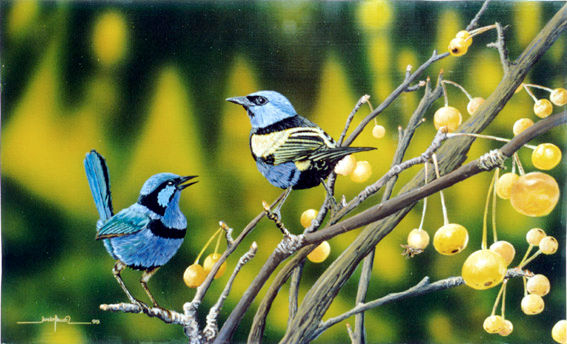 pajarillos azules Acrylic Panel Animals