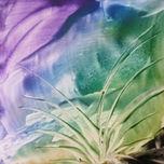 NATURALEZA thumbnail 2