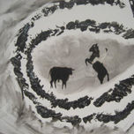 Toros thumbnail 2