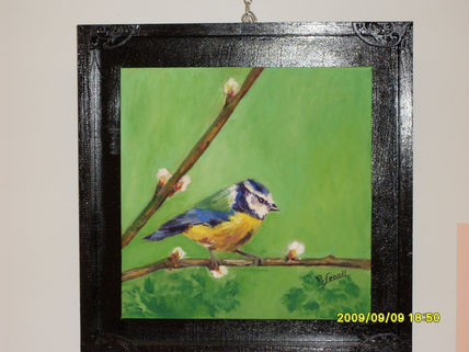 El pajaro