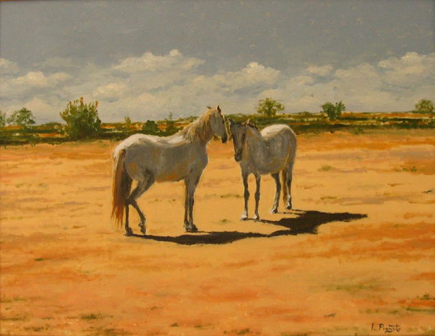 "Incontro" Oil Canvas Animals