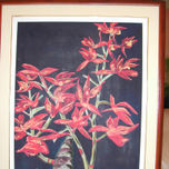 MARTORELL ALBERTO thumbnail 1