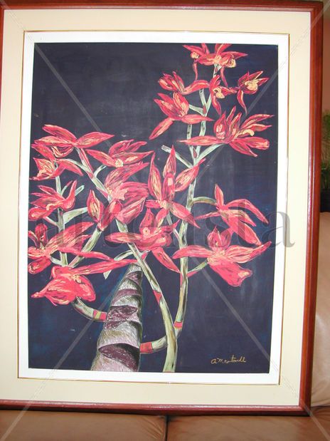 Orquideas del amazonas