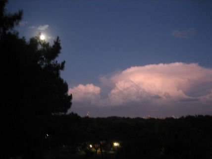 Noche
