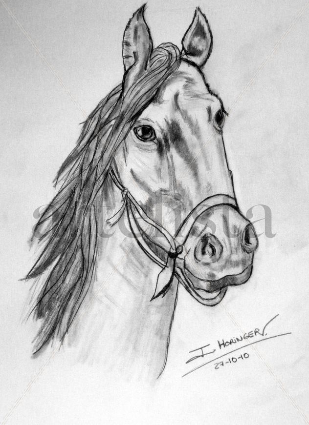 Cabeza caballo