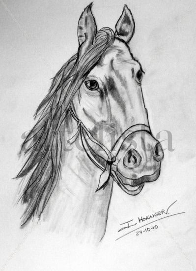 Cabeza caballo Pencil