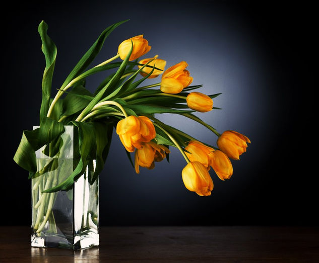 Tulipanes Still lifes Color (Digital)